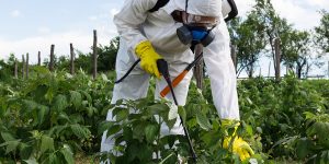 Tools for herbicides