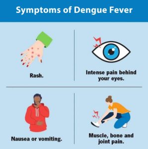 WHAT IS DENGUE FEVER?
