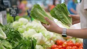 LEAFY GREEN ROMAINE LETTUCE