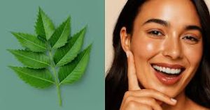 Uses of neem leaf