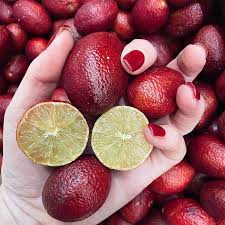 BLOOD LIMES CITRUS