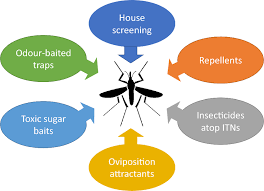 malaria transmission