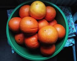 HONEY TANGERINES CITRUS