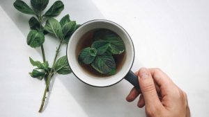 PEPPERMINT TEA AND HEALTH