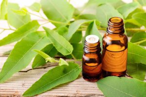 Key relevance of essential oils