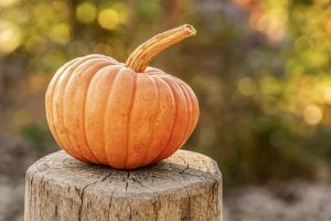 Nutrition value of pumpkins