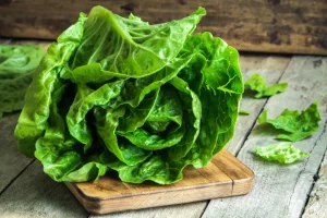 LEAFY GREEN ROMAINE LETTUCE
