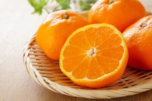 SATSUMA CITRUS FRUITS