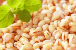 BARLEY NUTRITIONAL BENEFITS