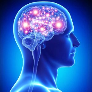 Properties of ginkgo biloba