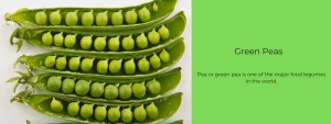 NUTRITIONAL VALUE OF GREEN PEAS