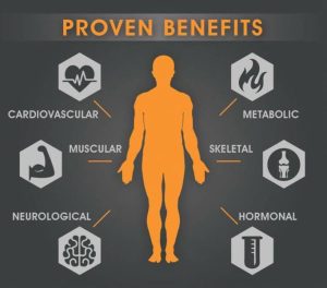 HEALTHY DIETS FOR FITNESS