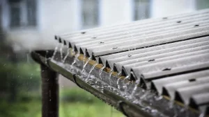 RAINWATER IMPORTANCE