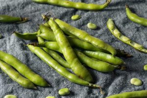 NUTRITIONAL VALUE OF FAVA BEANS