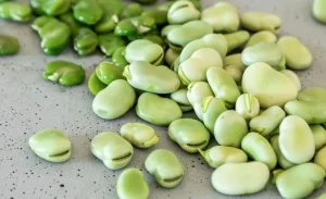 NUTRITIONAL VALUE OF FAVA BEANS