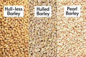 BARLEY NUTRITIONAL BENEFITS