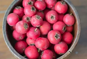 HAWTHORN AND HEART HEALTH