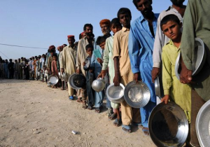 CONSEQUENCES OF OVERPOPULATION