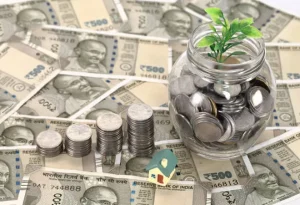 Government and society