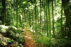 WONDERS OF THE EARTH