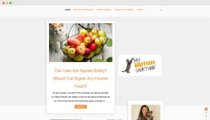 Blogging niche guidelines