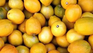 Positive impacts of lemon fruits