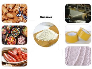 Cassava starch usage