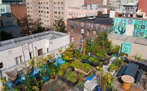 GARDENING AND URBAN SETTLEMENT