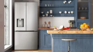 Relevance of refrigerators