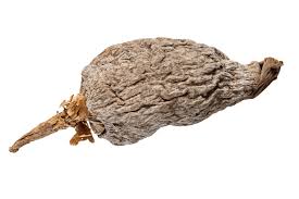 Alligator pepper usage