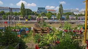 GARDENING AND URBAN SETTLEMENT