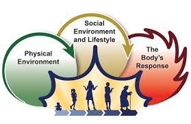 TIPS FOR BALANCING HORMONAL IMBALANCES