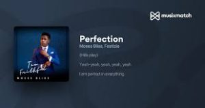 LYRICS FOR PERFECTION