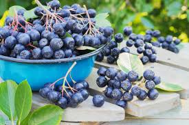 DIVERSE HEALTH IMPACTS OF BLUEBERRIES