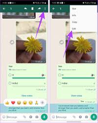 Tips for editing whatsapp messages