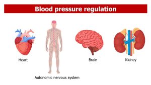 HEALTH IMPACTS OF VANILLA