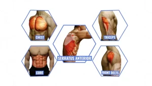 Pushups side effects