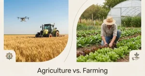 Agriculture and farming differences