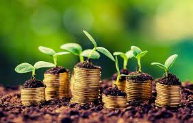 Agricultural sector of the economy