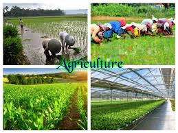 Agricultural forms