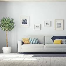 Living room paint colors