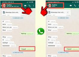 Tips for hiding whatsapp status