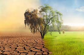 Reasons for water pollution