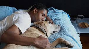 Relevance of napping