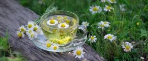Stomach upset and natural solutions