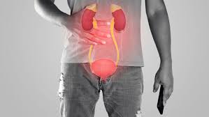 Common causes of red urine