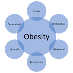 Obesity and lifestyles
