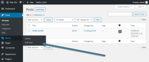 Wordpress contents and pictures