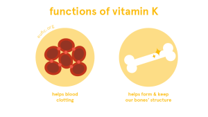 The Importance Vitamin K in the Body