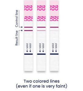 Pregnancy and Urine test 